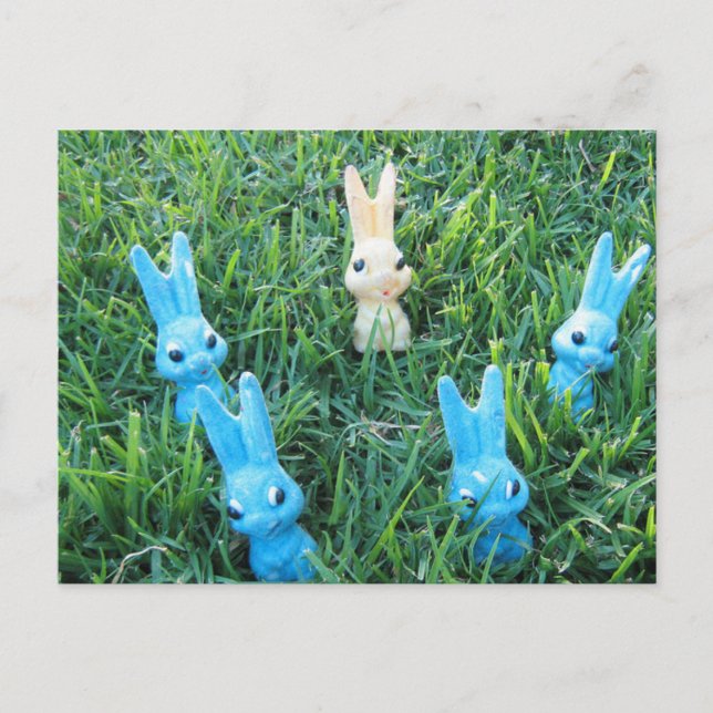 Carte postale lapins de Pâques (Devant)