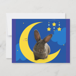 Carte Postale Lapny de Lune