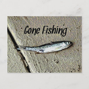 Carte Postale L'appât du cinglé est parti à la pêche