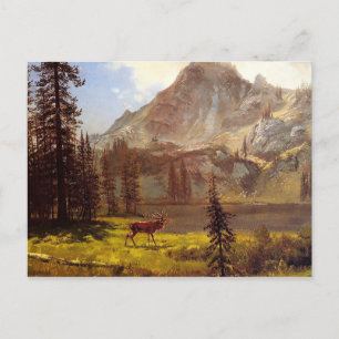 Carte Postale L'Appel de la forêt par Albert Bierstadt 1876–77