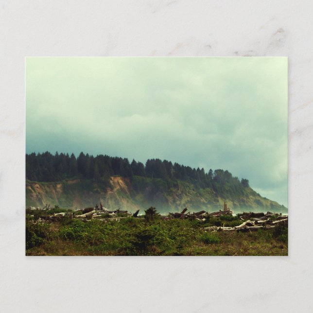 Carte Postale LaPush, Washington (Devant)
