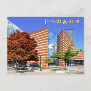 Carte Postale L'aquarium du Tennessee - Chattanooga, TN.