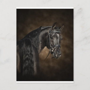 Carte Postale L'arabe