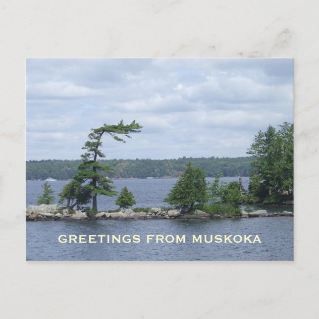 Carte Postale L'arbre coudé, Muskoka, Ontario, Canada (Devant)
