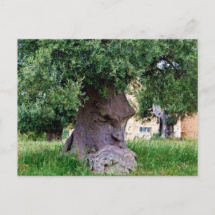 Carte Postale L'arbre de pensée à Pugia