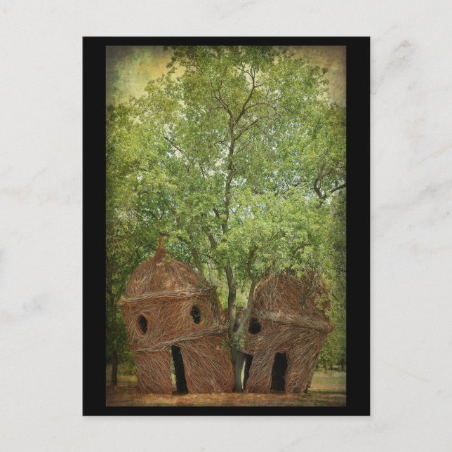 Carte Postale . :: L'arbre de recherche : (Devant)