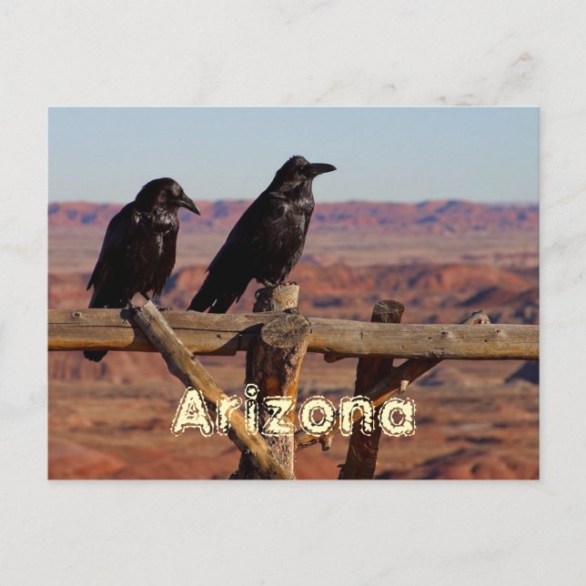 Carte Postale L'Arizona (Devant)
