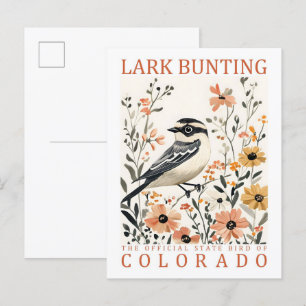 Carte Postale Lark Bunting Bird of Colorado USA Travel