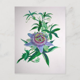 Carte Postale L'art botanique des fleurs de passion