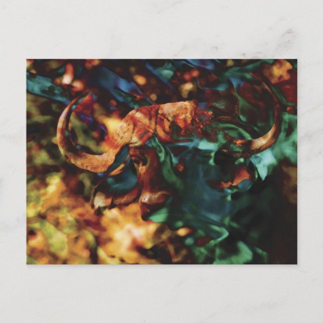 Carte Postale L'art de Buffalo Ripple (Devant)