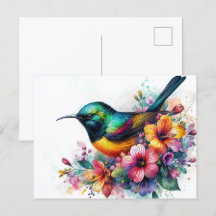 L'art de Sunbird Watercolor