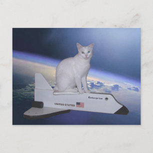 Carte Postale L'astronaute Chat (Esprit) sur navette spatiale