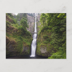 Carte Postale Latourell Falls & Bridge Columbia River Gorge