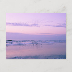 Carte Postale L'aube à la plage