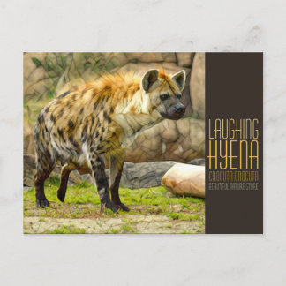 Carte Postale Laughing hyena [Postcard]