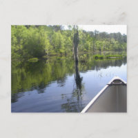 "LAURA S. WALKER STATE PARK"