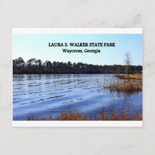 Carte Postale LAURA S. WALKER STATE PARK - Waycross, Géorgie