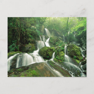 Carte Postale Laurel Falls, Tennessee
