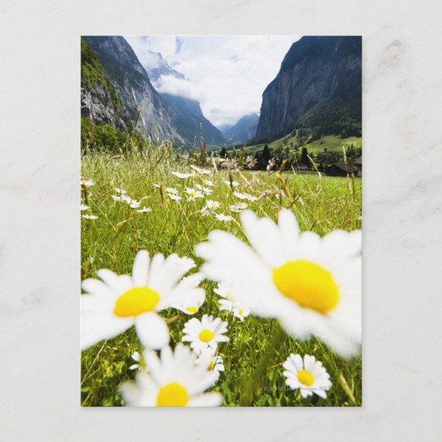 Carte Postale Lauterbrunnen, Suisse (Devant)