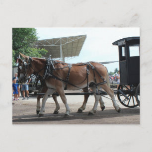 Carte Postale L'autobus tracté par des mulets