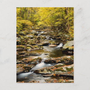 Carte Postale L'automne à Big Creek