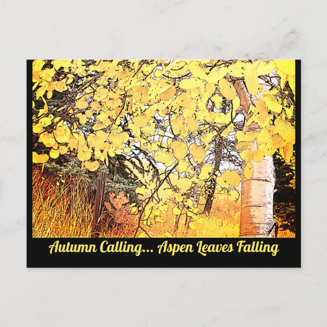 Carte Postale L'automne appelle... Les Feuilles d'Aspen tombent. (Devant)
