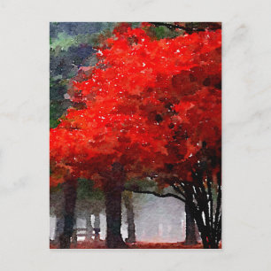 Carte Postale L'automne brûlant