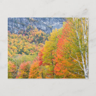 Carte Postale L'automne dans le parc d'État de Grafton Notch, Ma
