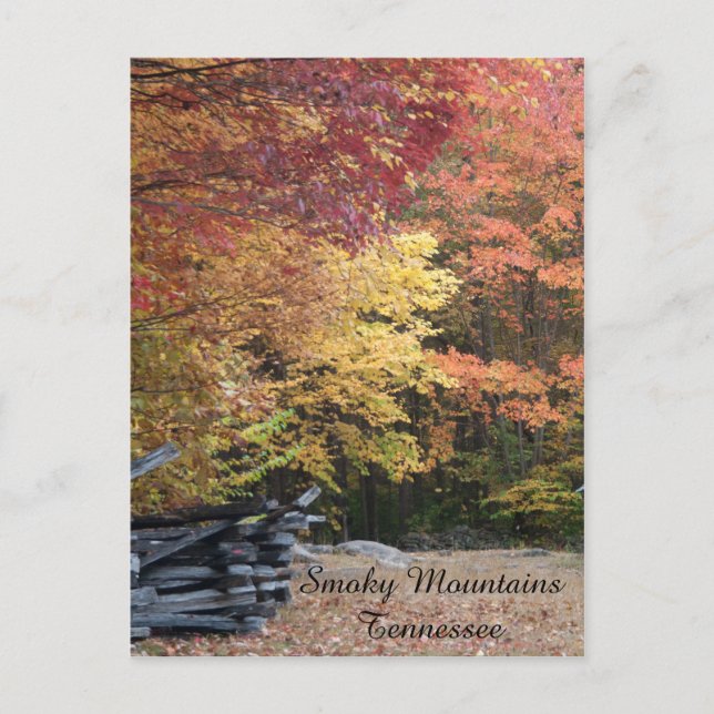 Carte Postale L'automne dans les montagnes fumées (Devant)