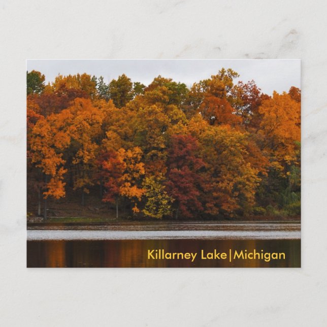 Carte Postale L'automne du Michigan (Devant)