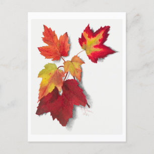 Carte Postale L'automne laisse l'illustration botanique
