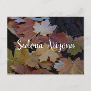 Carte Postale L'automne part tout autour, Sedona Arizona