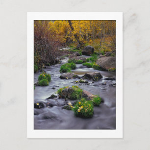 Carte Postale "L'automne sur Mill Creek"