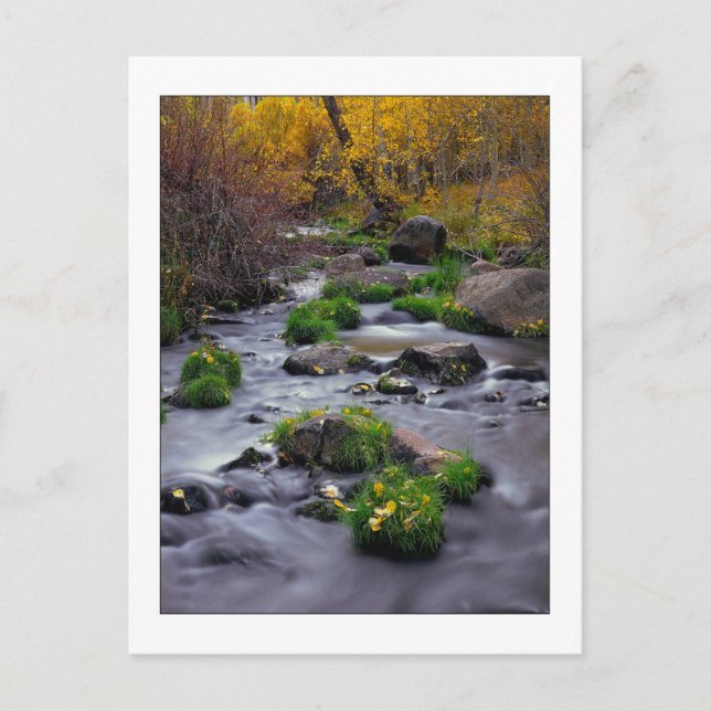 Carte Postale "L'automne sur Mill Creek" (Devant)