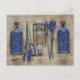 Carte Postale Lavande