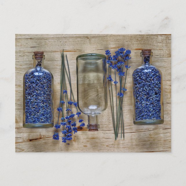 Carte Postale Lavande (Devant)