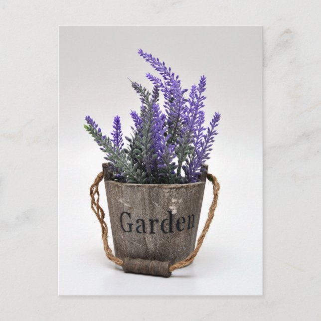 Carte Postale lavander (Devant)