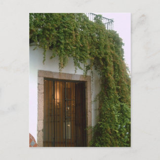 Carte Postale L'avant d'un bâtiment à Taxco avec une vigne