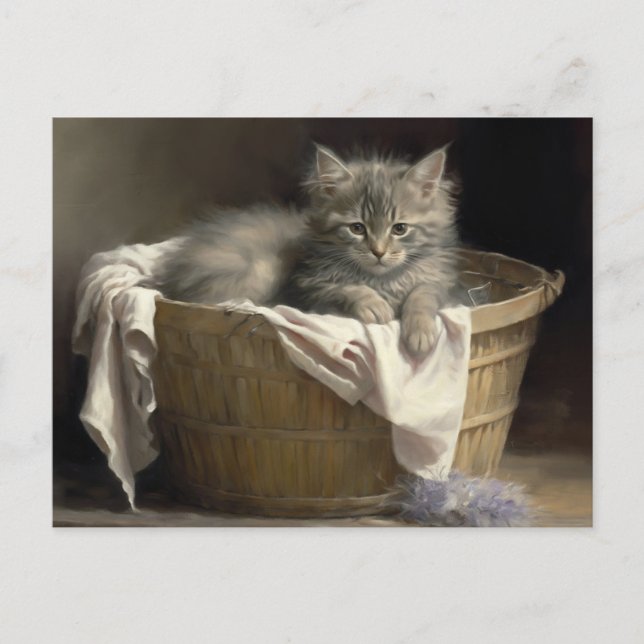 Carte Postale Lave-linge Ou Portrait De Kitten Gris En Temps De  (Devant)