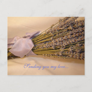 Carte postale Lavendar