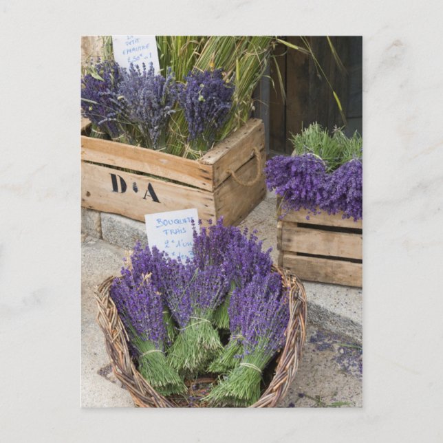 Carte Postale Lavendar for sale, Provence, France (Devant)