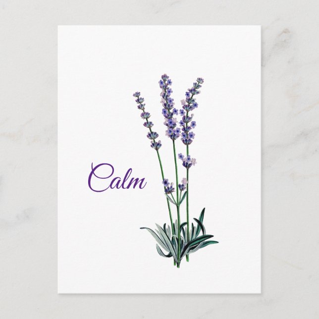 Carte Postale Lavender Flower Calm Inspiration (Devant)