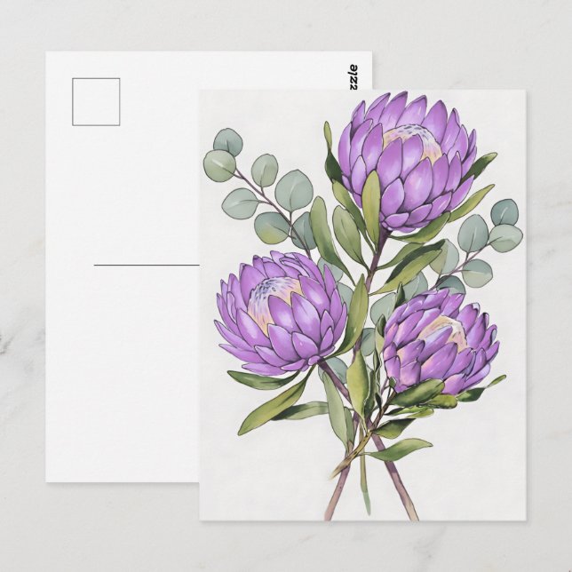 Carte Postale Lavender Protea Botanical Watercolor (Devant / Derrière)