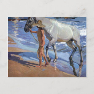Carte Postale Laver le cheval
