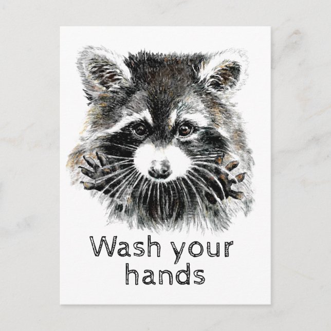 Carte Postale Lavez-Vous Vos Mains Raccoon Drôle Êtes-Vous D'Acc (Devant)