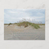 L'avoine marine sur la dune de sable Bancs extérie