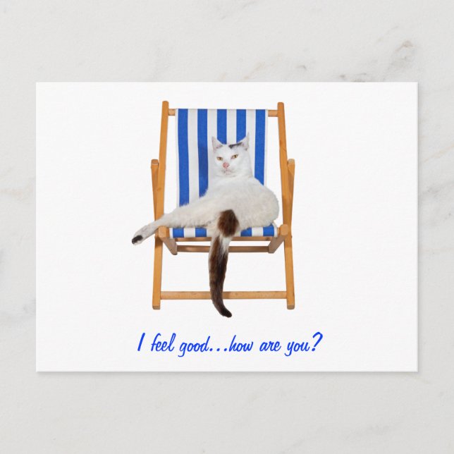 Carte Postale Lazy Day`s (Devant)