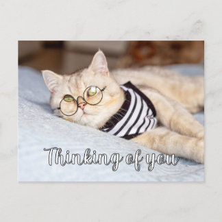 Carte Postale Lazy Days - Cute Kitty Cat