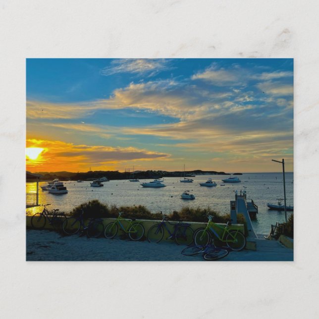 Carte Postale Lazy Days sur Rottnest Island Australie (Devant)