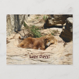 Carte Postale Lazy Dayz Bear